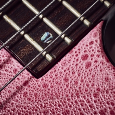 Guitare basse