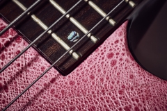 Guitare basse
