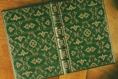 Reliure en plein maroquin vert